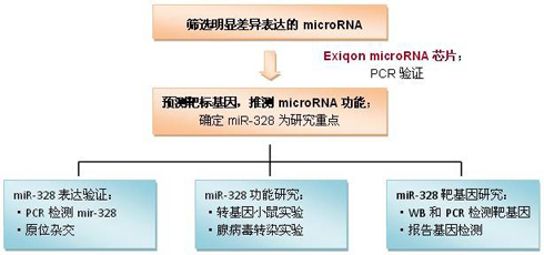 利用Exiqon microRNA芯片探索缺氧性肺动脉高压（PHP）病因最新成果[创新技巧]