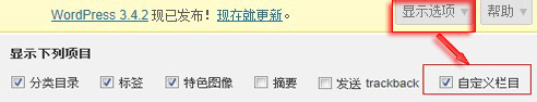 自定义栏目